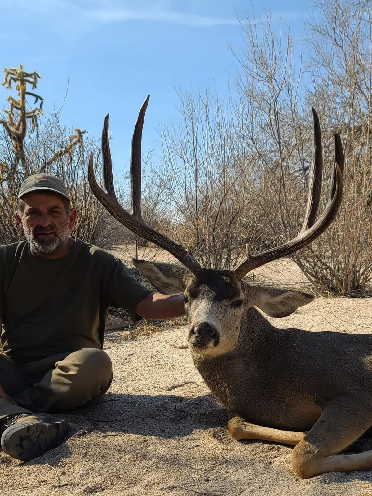 Arizona Coues Deer Hunting Guide